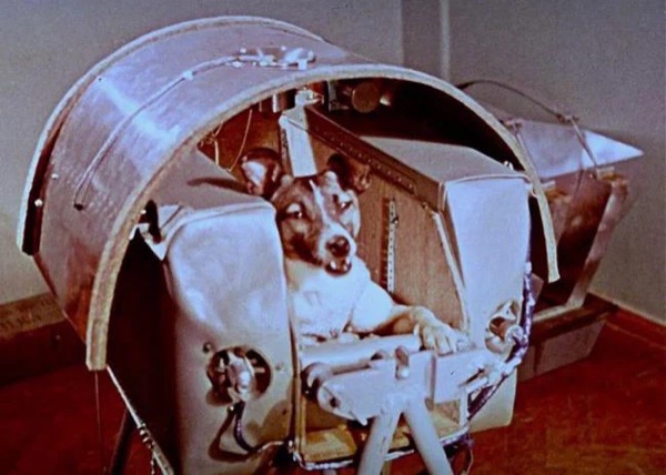 Laika in Sputnik 2 capsule